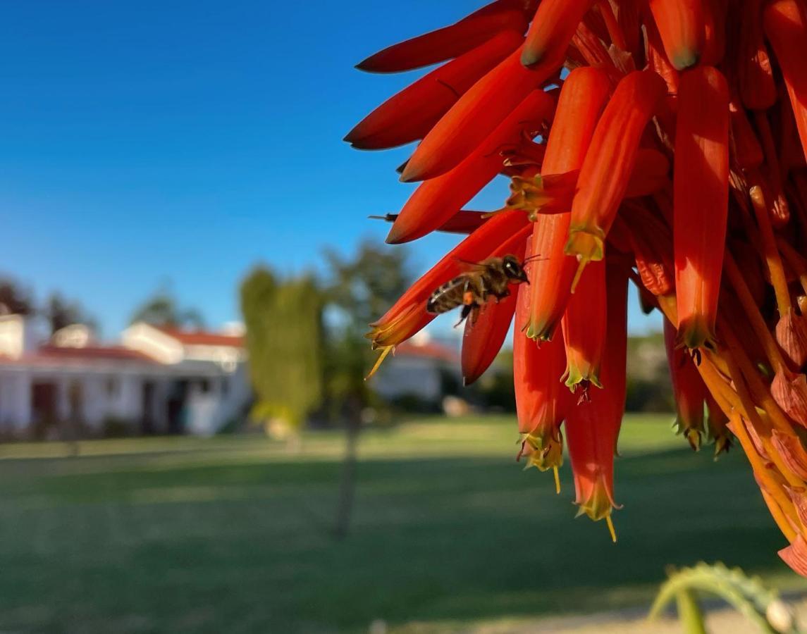 Herdade Do Kuanza Zambujeira do Mar Exterior foto